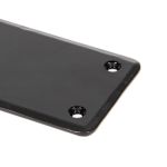 From The Anvil Plain Fingerplate