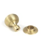 Heavy Beehive Mortice/Rim Knob Set