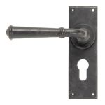 From The Anvil Regency Lever on Backplate Set