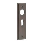 Burlington II Lever Plate Choices