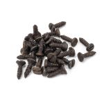 Anvil Countersunk Screws (25)