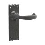 Antique Regal Suite Lever on Back Plate