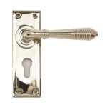 From The Anvil Reeded Lever on Backplate Set