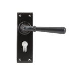 From The Anvil Newbury Lever Set