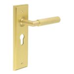 Burlington Piccadilly Lever on Back Plate