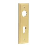 Burlington II Lever Plate Choices