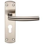 Steelworx Residential Arched Lever on Backplate
