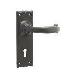 Antique Regal Suite Lever on Back Plate