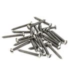 From The Anvil Round Head Screws (25)