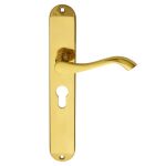 Andros Lever on Backplate