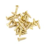 Anvil Countersunk Screws (25)