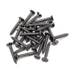 Anvil Countersunk Screws (25)