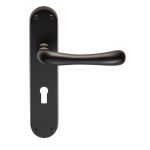 Ibra Lever on Backplate
