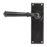 From The Anvil Regency Lever on Backplate Set
