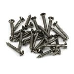 Anvil Csk RaisedHead Screws (25)
