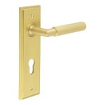 Burlington Piccadilly Lever on Back Plate