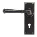 From The Anvil Regency Lever on Backplate Set