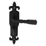 Barley Twist Lever on Gothic Backplate