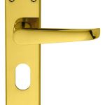 Victorian Lever on Backplate