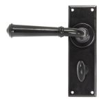 From The Anvil Regency Lever on Backplate Set
