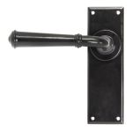 From The Anvil Regency Lever on Backplate Set