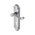 Heritage Brass - Meridian Door Handle on Plate