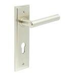 Burlington Richmond Lever on Back Plate