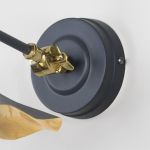 Smooth Brass Flora Wall Light in Slate