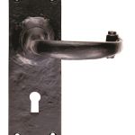 Traditional Lever on Backplate