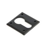 Avon Escutcheon