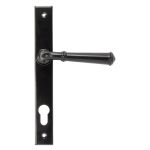 From The Anvil Regency Lever on Backplate Set