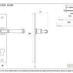 From The Anvil Regency Lever on Backplate Set