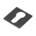 Avon Escutcheon