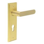 Burlington Kensington Lever on Back Plate