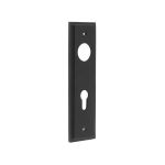Burlington II Lever Plate Choices