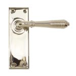 From The Anvil Reeded Lever on Backplate Set