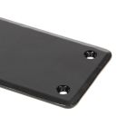 From The Anvil Plain Fingerplate
