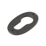 From The Anvil Oval Euro Profile Escutcheon