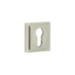 Burlington Euro Profile Escutcheons