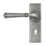 From The Anvil Regency Lever on Backplate Set