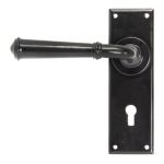 From The Anvil Regency Lever on Backplate Set