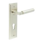 Burlington Westminster Lever on Back Plate