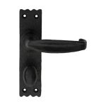 Slimline V Lever on Backplate