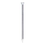 Masonry Nails -Box of 100