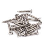 Anvil Csk RaisedHead Screws (25)