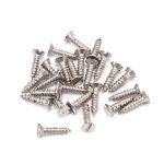 Anvil Countersunk Screws (25)