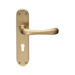 Ibra Lever on Backplate