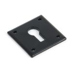 Avon Escutcheon