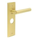 Burlington Richmond Lever on Back Plate