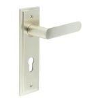 Burlington Kensington Lever on Back Plate